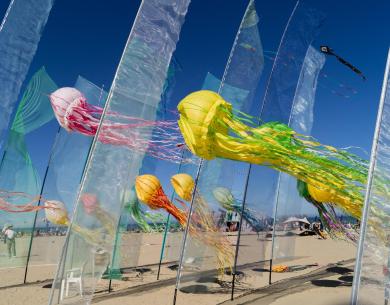 Festival de cerfs-volants en forme de méduses colorées sur la plage.