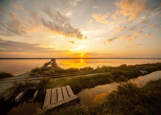 Tramonto su un lago con passerella e riflessi dorati.